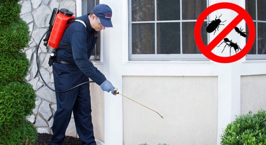 Balatçık Karınca İlaçlama böcek ilaçlama ve haşere kontrolü — ilaclama-tr.com